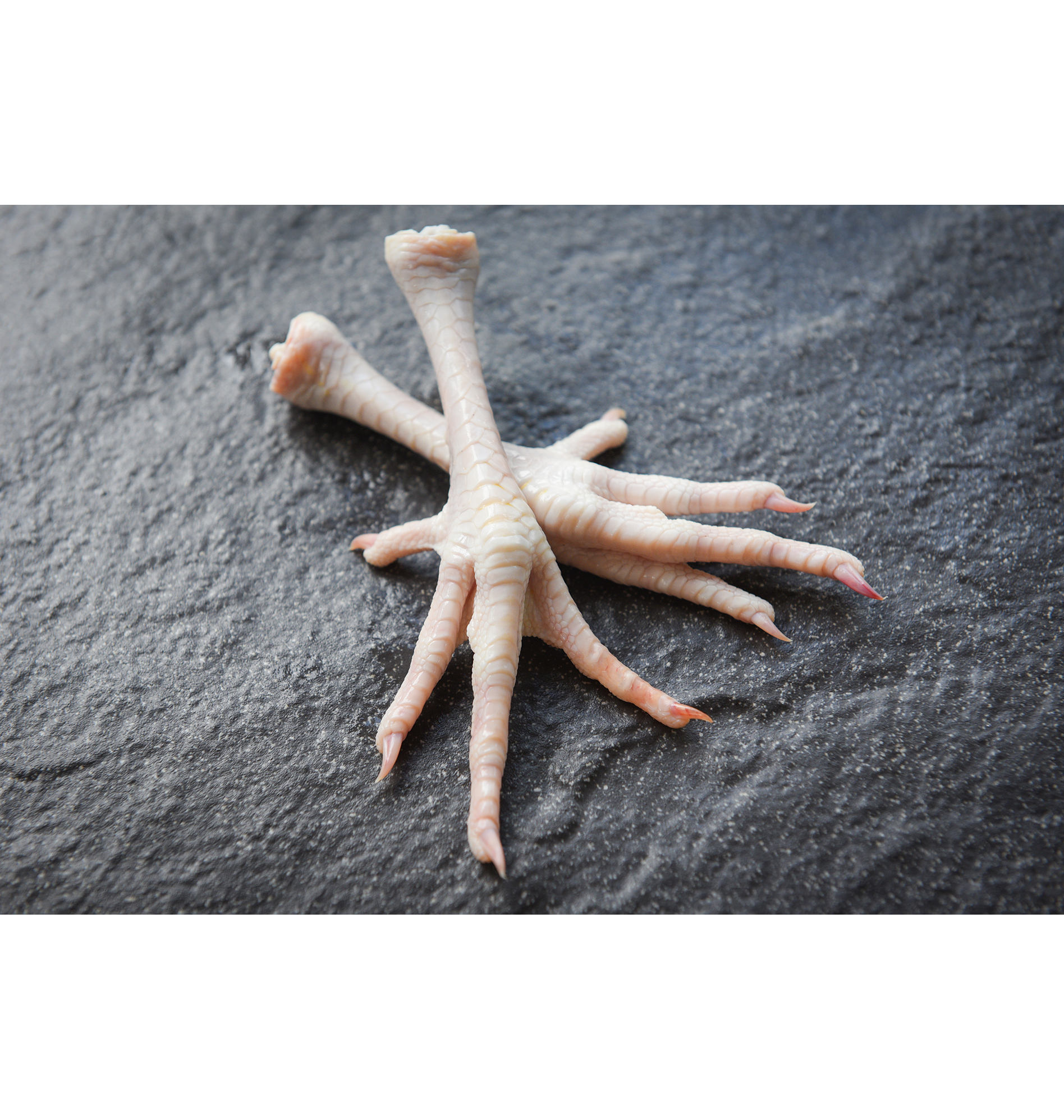 بکام فود | تأمین مرغ منجمد chicken feet on black plate fresh raw chicken foot for cooking