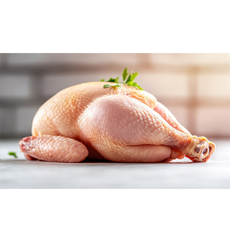 بکام فود | تأمین مرغ منجمد chicken