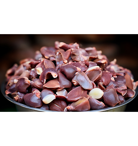 بکام فود | تأمین مرغ منجمد freshly prepared chicken gizzards ready for cooking.