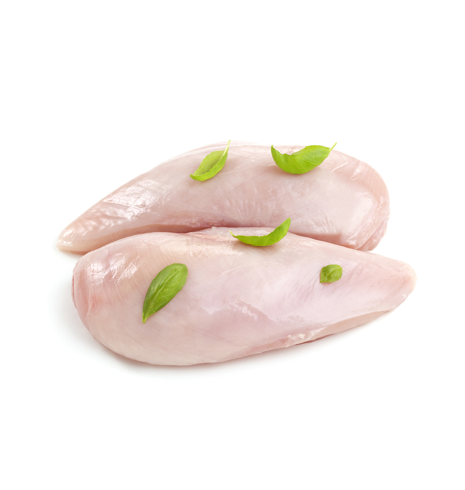 بکام فود | تأمین مرغ منجمد chicken fillet breast isolated on white background